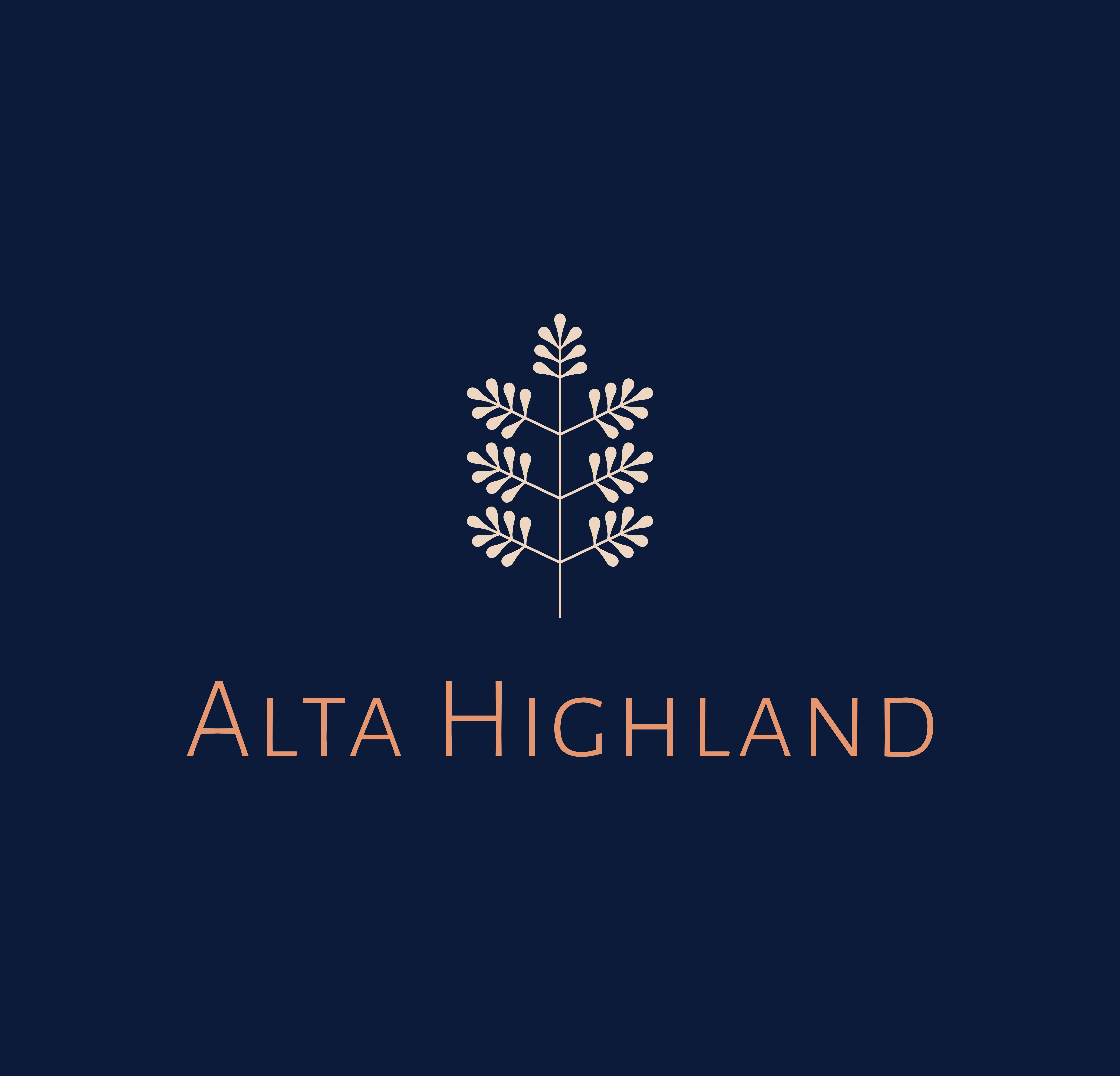 altahighland.business.blog